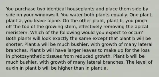 You purchase two identical houseplants and place them side by side on your windowsill. You water both plants equally. One plant, plant a, you leave alone. On the other plant, plant b, you pinch off the top of the growing stem, effectively removing the apical meristem. Which of the following would you expect to occur? Both plants will look exactly the same except that plant b will be shorter. Plant a will be much bushier, with growth of many lateral branches. Plant b will have larger leaves to make up for the loss in photosynthetic tissues from reduced growth. Plant b will be much bushier, with growth of many lateral branches. The level of auxin in plant b will be higher than in plant a.