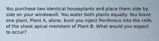 You purchase two identical houseplants and place them side by side on your windowsill. You water both plants equally. You leave one plant, Plant A, alone, bunt you inject floriferous into the cells of the shoot apical meristem of Plant B. What would you expect to occur?