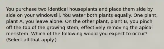 You purchase two identical houseplants and place them side by side on your windowsill. You water both plants equally. One plant, plant A, you leave alone. On the other plant, plant B, you pinch off the top of the growing stem, effectively removing the apical meristem. Which of the following would you expect to occur? (Select all that apply.)