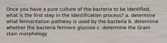 Once you have a pure culture of the bacteria to be identified, what is the first step in the identification process? a. determine what fermentation pathway is used by the bacteria b. determine whether the bacteria ferment glucose c. determine the Gram stain morphology