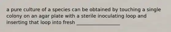 a pure culture of a species can be obtained by touching a single colony on an agar plate with a sterile inoculating loop and inserting that loop into fresh __________________