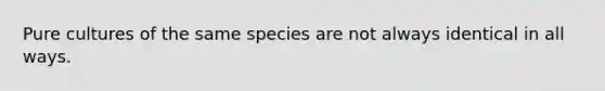 Pure cultures of the same species are not always identical in all ways.