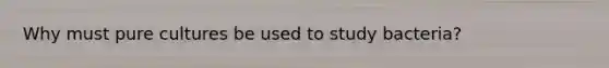 Why must pure cultures be used to study bacteria?