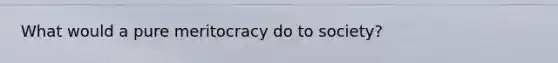 What would a pure meritocracy do to society?