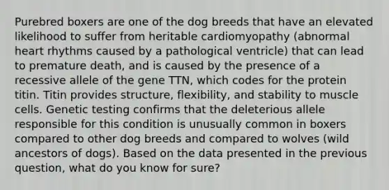 Purebred boxers are one of the dog breeds that have an elevated likelihood to suffer from heritable cardiomyopathy (abnormal heart rhythms caused by a pathological ventricle) that can lead to premature death, and is caused by the presence of a recessive allele of the gene TTN, which codes for the protein titin. Titin provides structure, flexibility, and stability to muscle cells. Genetic testing confirms that the deleterious allele responsible for this condition is unusually common in boxers compared to other dog breeds and compared to wolves (wild ancestors of dogs). Based on the data presented in the previous question, what do you know for sure?