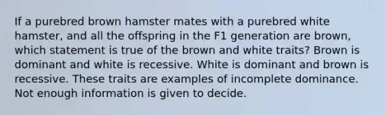 If a purebred brown hamster mates with a purebred white hamster, and all the offspring in the F1 generation are brown, which statement is true of the brown and white traits? Brown is dominant and white is recessive. White is dominant and brown is recessive. These traits are examples of incomplete dominance. Not enough information is given to decide.