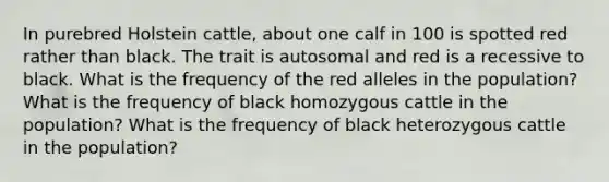 In purebred Holstein cattle, about one calf in 100 is spotted red rather than black. The trait is autosomal and red is a recessive to black. What is the frequency of the red alleles in the population? What is the frequency of black homozygous cattle in the population? What is the frequency of black heterozygous cattle in the population?