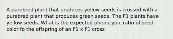 A purebred plant that produces yellow seeds is crossed with a purebred plant that produces green seeds. The F1 plants have yellow seeds. What is the expected phenotypic ratio of seed color fo the offspring of an F1 x F1 cross