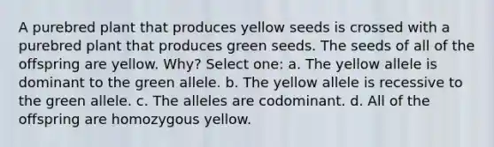 A purebred plant that produces yellow seeds is crossed with a purebred plant that produces green seeds. The seeds of all of the offspring are yellow. Why? Select one: a. The yellow allele is dominant to the green allele. b. The yellow allele is recessive to the green allele. c. The alleles are codominant. d. All of the offspring are homozygous yellow.