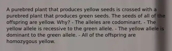 A purebred plant that produces yellow seeds is crossed with a purebred plant that produces green seeds. The seeds of all of the offspring are yellow. Why? - The alleles are codominant. - The yellow allele is recessive to the green allele. - The yellow allele is dominant to the green allele. - All of the offspring are homozygous yellow.