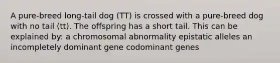 A pure-breed long-tail dog (TT) is crossed with a pure-breed dog with no tail (tt). The offspring has a short tail. This can be explained by: a chromosomal abnormality epistatic alleles an incompletely dominant gene codominant genes