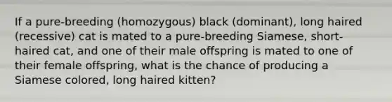 If a pure-breeding (homozygous) black (dominant), long haired (recessive) cat is mated to a pure-breeding Siamese, short-haired cat, and one of their male offspring is mated to one of their female offspring, what is the chance of producing a Siamese colored, long haired kitten?