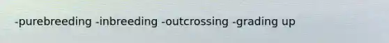 -purebreeding -inbreeding -outcrossing -grading up