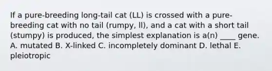 If a pure-breeding long-tail cat (LL) is crossed with a pure-breeding cat with no tail (rumpy, ll), and a cat with a short tail (stumpy) is produced, the simplest explanation is a(n) ____ gene. A. mutated B. X-linked C. incompletely dominant D. lethal E. pleiotropic