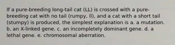 If a pure-breeding long-tail cat (LL) is crossed with a pure-breeding cat with no tail (rumpy, ll), and a cat with a short tail (stumpy) is produced, the simplest explanation is a. a mutation. b. an X-linked gene. c. an incompletely dominant gene. d. a lethal gene. e. chromosomal aberration.