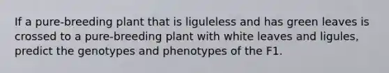 If a pure-breeding plant that is liguleless and has green leaves is crossed to a pure-breeding plant with white leaves and ligules, predict the genotypes and phenotypes of the F1.