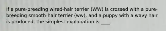 If a pure-breeding wired-hair terrier (WW) is crossed with a pure-breeding smooth-hair terrier (ww), and a puppy with a wavy hair is produced, the simplest explanation is ____.