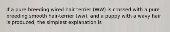 If a pure-breeding wired-hair terrier (WW) is crossed with a pure-breeding smooth hair-terrier (ww), and a puppy with a wavy hair is produced, the simplest explanation is