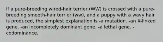 If a pure-breeding wired-hair terrier (WW) is crossed with a pure-breeding smooth-hair terrier (ww), and a puppy with a wavy hair is produced, the simplest explanation is -a mutation. -an X-linked gene. -an incompletely dominant gene. -a lethal gene. -codominance.