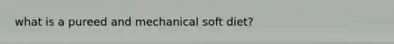what is a pureed and mechanical soft diet?
