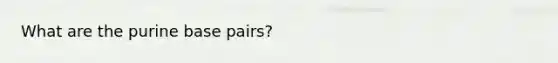What are the purine base pairs?