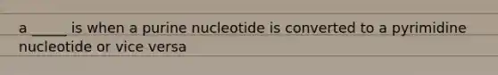 a _____ is when a purine nucleotide is converted to a pyrimidine nucleotide or vice versa