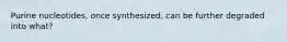 Purine nucleotides, once synthesized, can be further degraded into what?