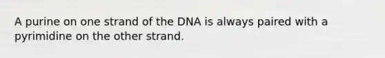 A purine on one strand of the DNA is always paired with a pyrimidine on the other strand.