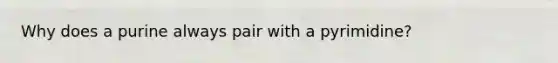 Why does a purine always pair with a pyrimidine?