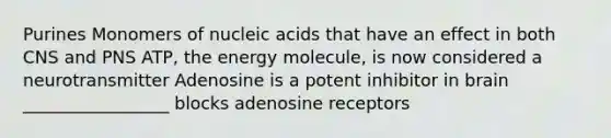 Purines Monomers of nucleic acids that have an effect in both CNS and PNS ATP, the energy molecule, is now considered a neurotransmitter Adenosine is a potent inhibitor in brain _________________ blocks adenosine receptors