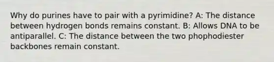 Why do purines have to pair with a pyrimidine? A: The distance between hydrogen bonds remains constant. B: Allows DNA to be antiparallel. C: The distance between the two phophodiester backbones remain constant.