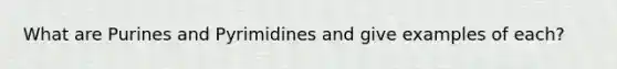 What are Purines and Pyrimidines and give examples of each?