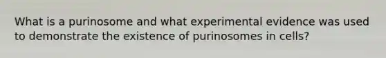 What is a purinosome and what experimental evidence was used to demonstrate the existence of purinosomes in cells?