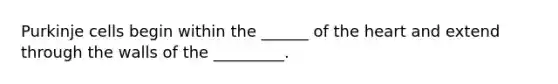 Purkinje cells begin within the ______ of the heart and extend through the walls of the _________.