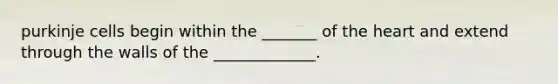 purkinje cells begin within the _______ of the heart and extend through the walls of the _____________.