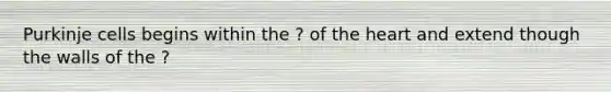 Purkinje cells begins within the ? of <a href='https://www.questionai.com/knowledge/kya8ocqc6o-the-heart' class='anchor-knowledge'>the heart</a> and extend though the walls of the ?