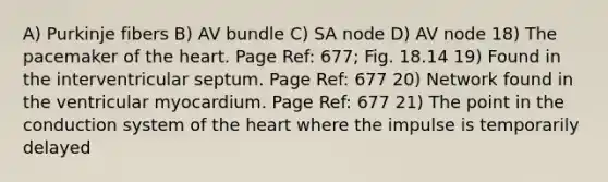 A) Purkinje fibers B) AV bundle C) SA node D) AV node 18) The pacemaker of the heart. Page Ref: 677; Fig. 18.14 19) Found in the interventricular septum. Page Ref: 677 20) Network found in the ventricular myocardium. Page Ref: 677 21) The point in the conduction system of the heart where the impulse is temporarily delayed