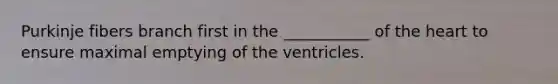 Purkinje fibers branch first in the ___________ of the heart to ensure maximal emptying of the ventricles.