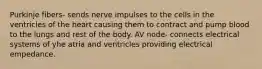 Purkinje fibers- sends nerve impulses to the cells in the ventricles of the heart causing them to contract and pump blood to the lungs and rest of the body. AV node- connects electrical systems of yhe atria and ventricles providing electrical empedance.