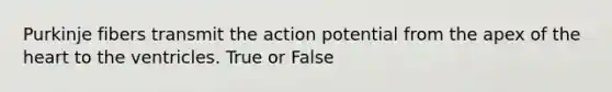 Purkinje fibers transmit the action potential from the apex of the heart to the ventricles. True or False