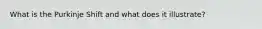 What is the Purkinje Shift and what does it illustrate?