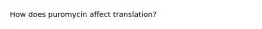 How does puromycin affect translation?