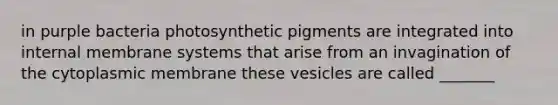 in purple bacteria photosynthetic pigments are integrated into internal membrane systems that arise from an invagination of the cytoplasmic membrane these vesicles are called _______