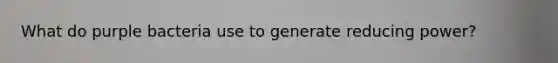 What do purple bacteria use to generate reducing power?