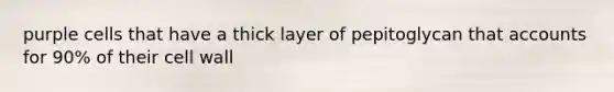 purple cells that have a thick layer of pepitoglycan that accounts for 90% of their cell wall
