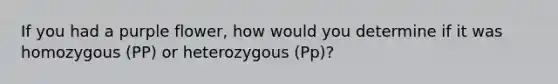 If you had a purple flower, how would you determine if it was homozygous (PP) or heterozygous (Pp)?