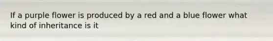 If a purple flower is produced by a red and a blue flower what kind of inheritance is it