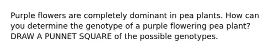 Purple flowers are completely dominant in pea plants. How can you determine the genotype of a purple flowering pea plant? DRAW A PUNNET SQUARE of the possible genotypes.