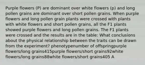 Purple flowers (P) are dominant over white flowers (p) and long pollen grains are dominant over short pollen grains. When purple flowers and long pollen grain plants were crossed with plants with white flowers and short pollen grains, all the F1 plants showed purple flowers and long pollen grains. The F1 plants were crossed and the results are in the table: What conclusions about the physical relationship between the traits can be drawn from the experiment? phenotypenumber of offspringpurple flowers/long grains415purple flowers/short grains92white flowers/long grains88white flowers/short grains405 A