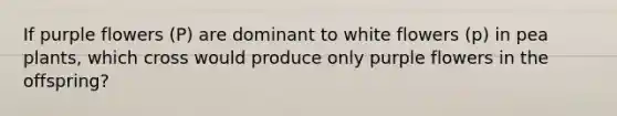 If purple flowers (P) are dominant to white flowers (p) in pea plants, which cross would produce only purple flowers in the offspring?